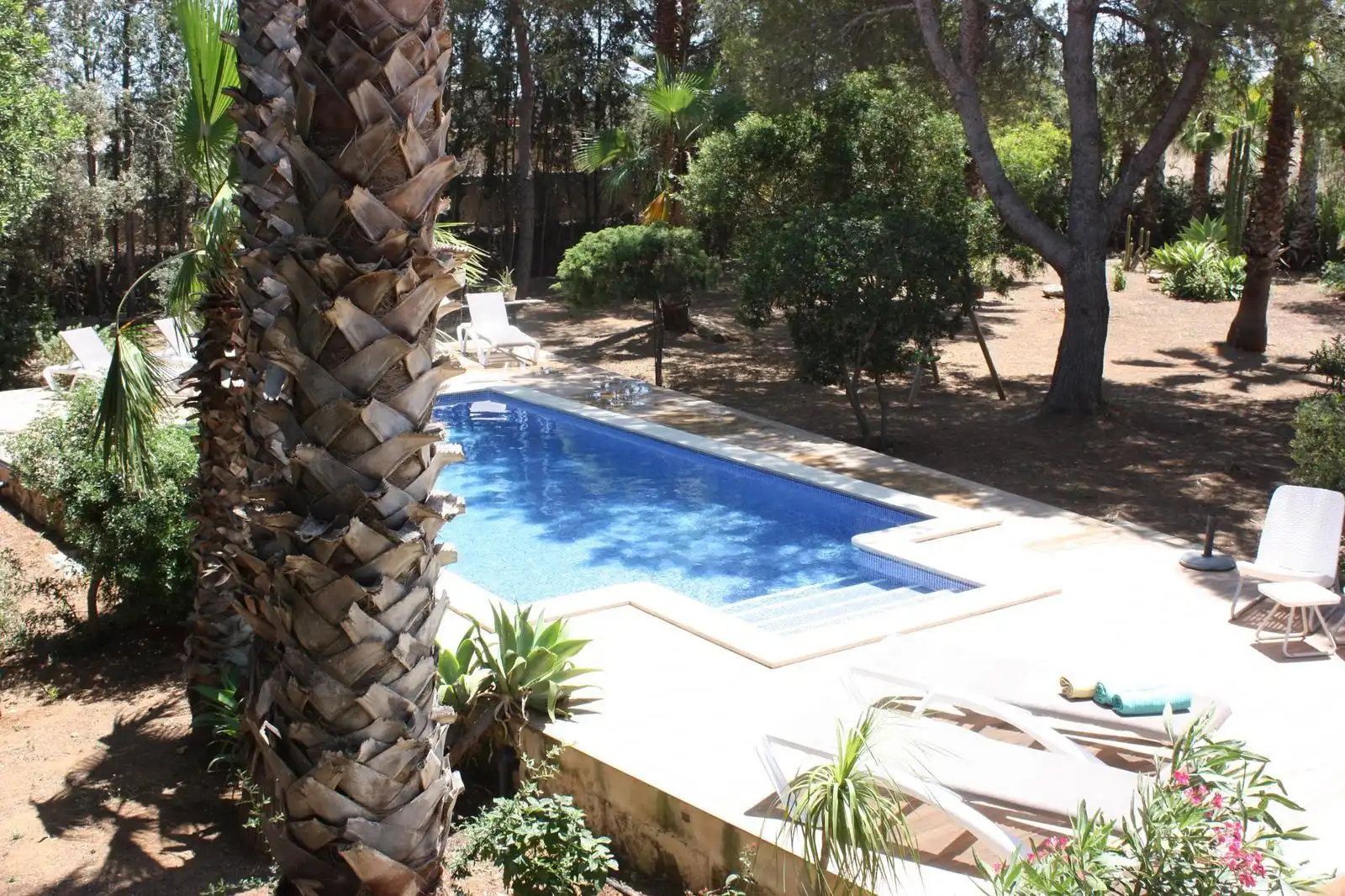 Piscina de Casa o chalet en venta en Santa Margalida con Aire acondicionado, Jardín privado y Terraza