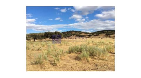 Photo 2 of House or chalet for sale in Monte Rivera Jerte, Zona Norte - Hospital - Urbanizaciones, Cáceres