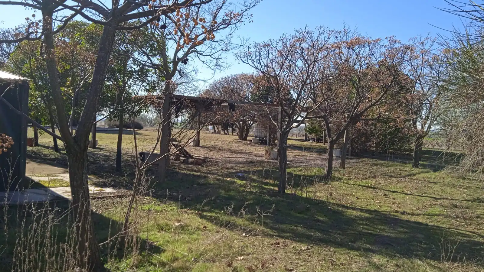 Terreno en venta en Illán de Vacas