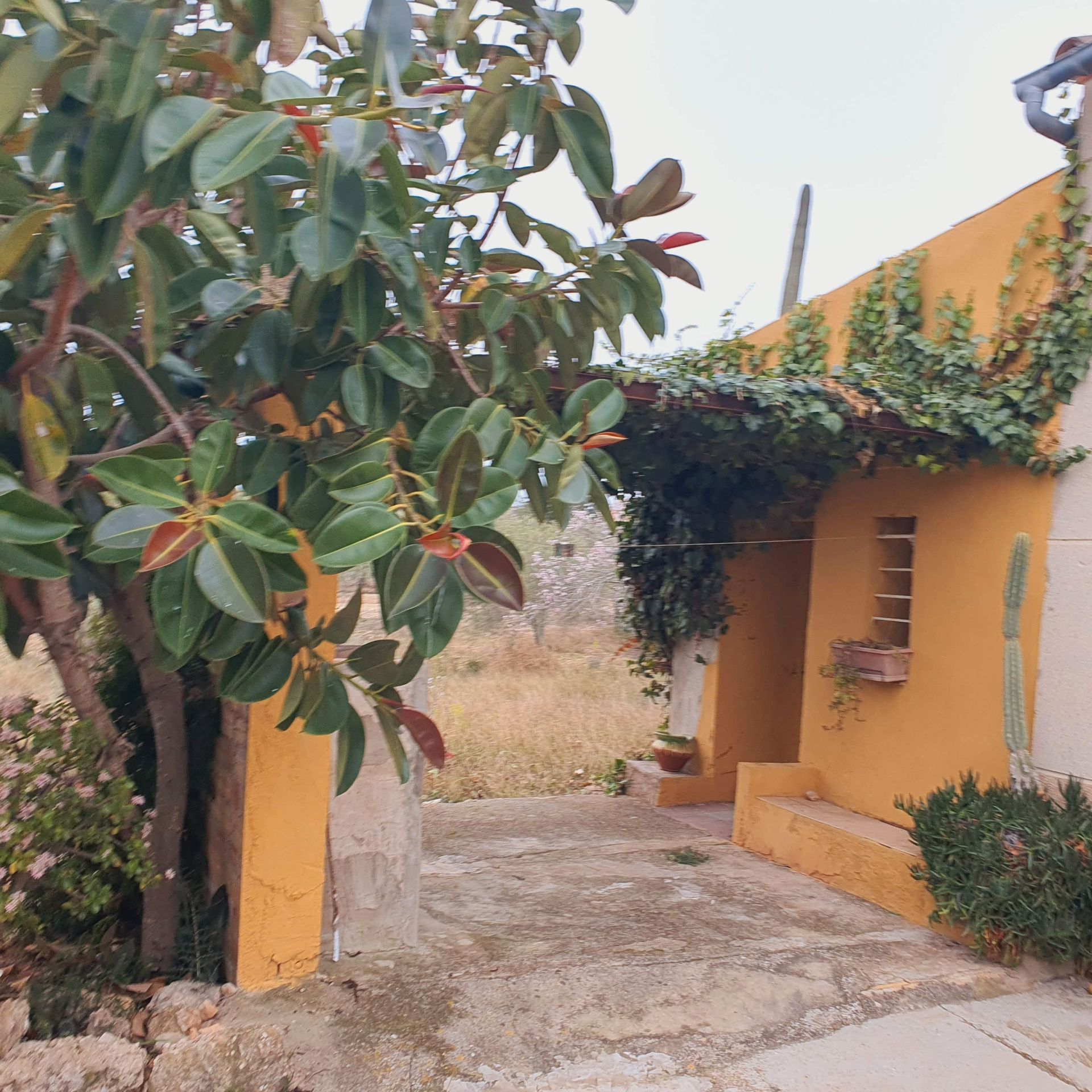 Exterior view of Land for sale in L'Aldea