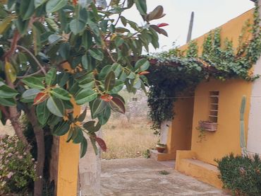 Terreny rústic en venda a L'Aldea