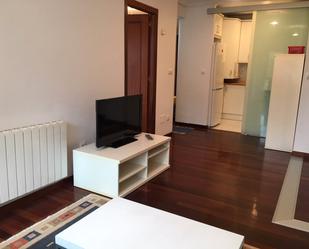 Living room of Apartment to rent in Santa Cruz de Bezana  with Heating, Private garden and Parquet flooring