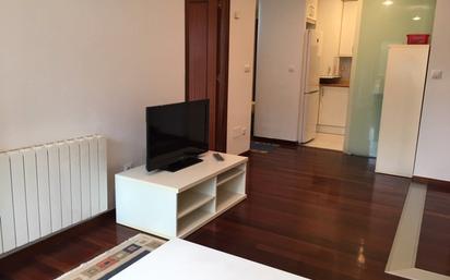 Sala d'estar de Apartament de lloguer en Santa Cruz de Bezana amb Calefacció, Jardí privat i Parquet