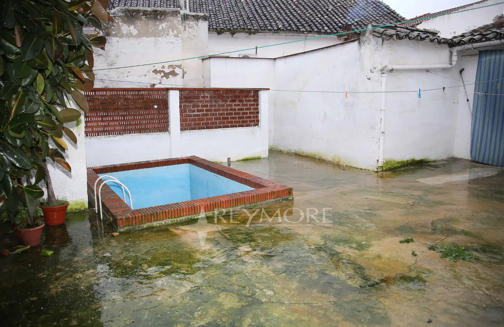 Piscina de Casa o chalet en venta en Bujalance con Jardín privado, Trastero y Piscina
