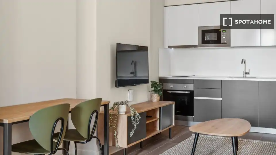 Living room of Flat for rent in Madrid  with Air Conditioner, Heating and Furnished