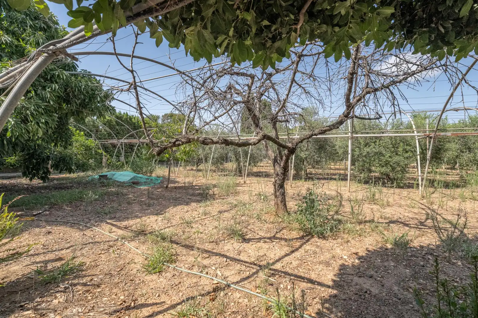 Finca rústica en venta en Riudoms con Calefacción y Jardín privado