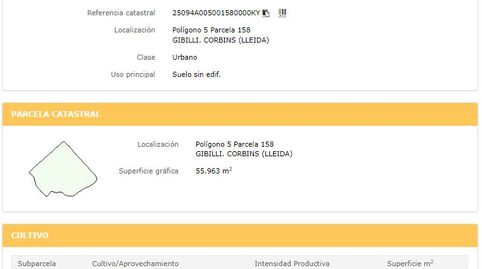 Foto 5 de Terreno en venta en Gibilli, Corbins, Lleida