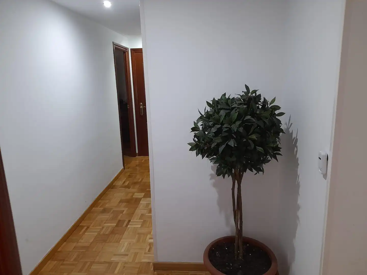 Flat for rent in Centro