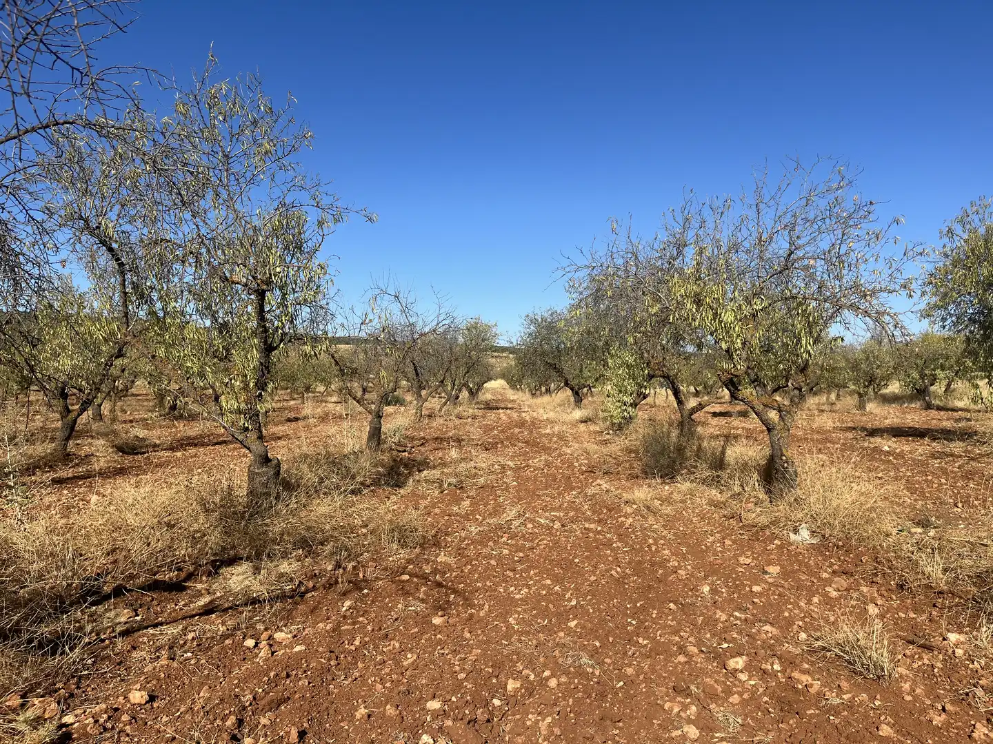 Rustikales Grundstück zum Verkauf in Avenida de Andalucía, imagen 2