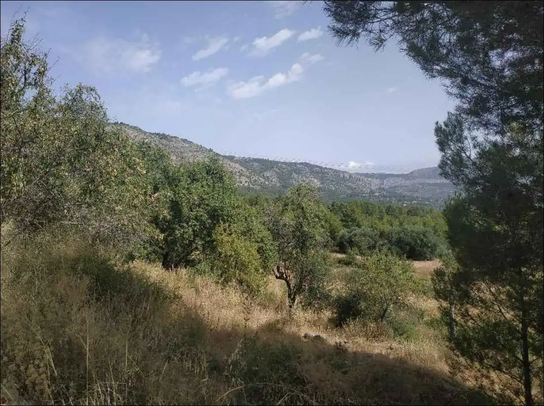 Terrain rustique à vendre à POLIGONO 3, imagen 6