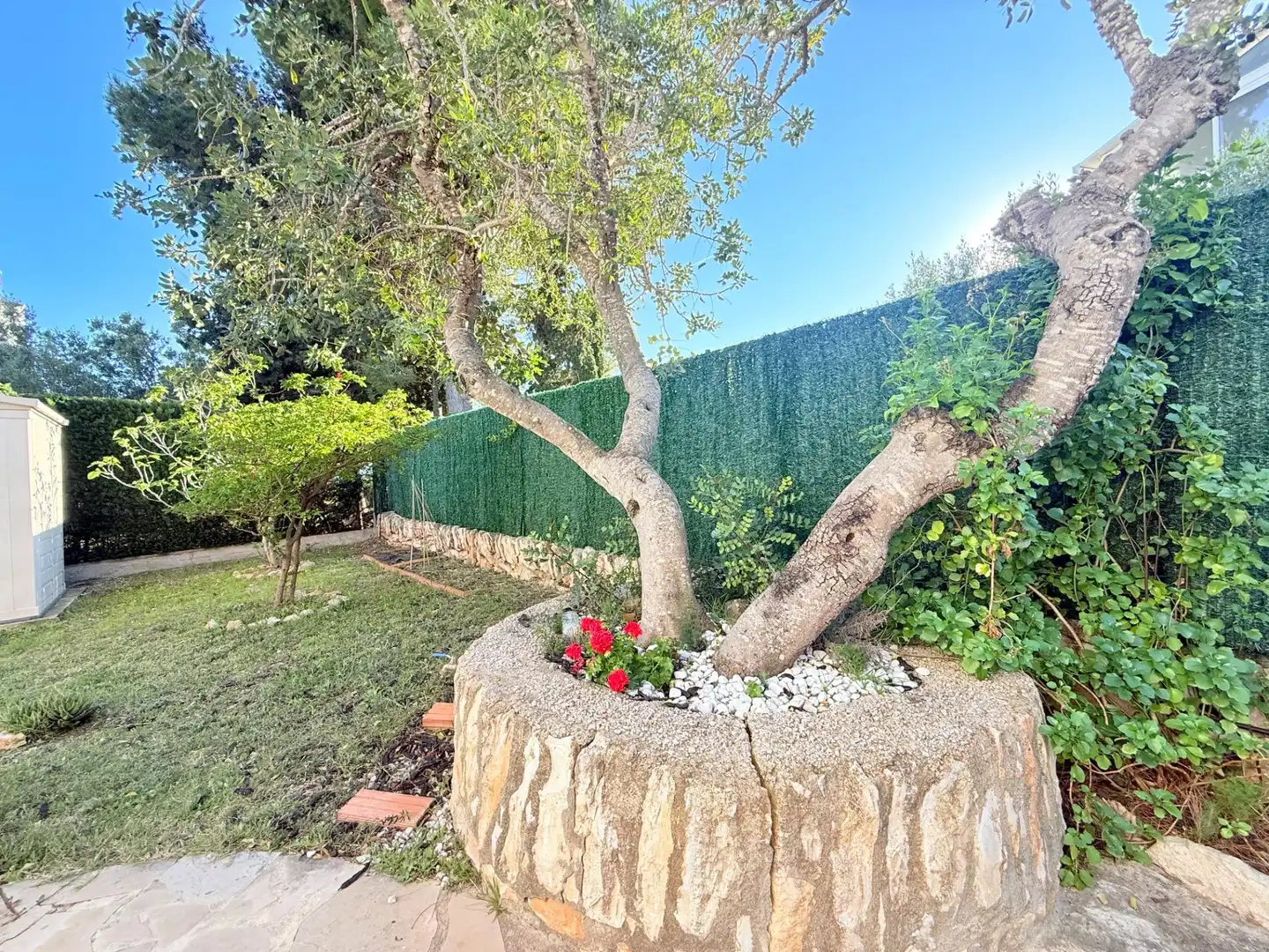 Jardín de Casa o chalet en venta en L'Ampolla con Calefacción, Jardín privado y Terraza
