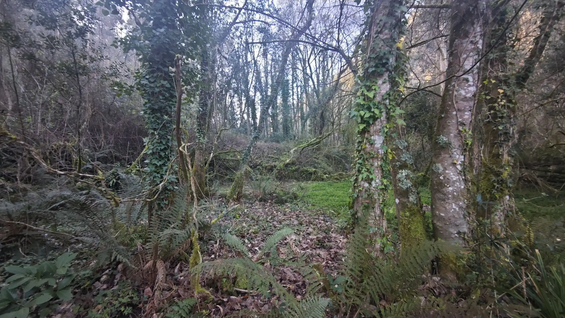 Terreno rustico in vendita a Pría - Nueva-Hontoria - Naves, imagen 22