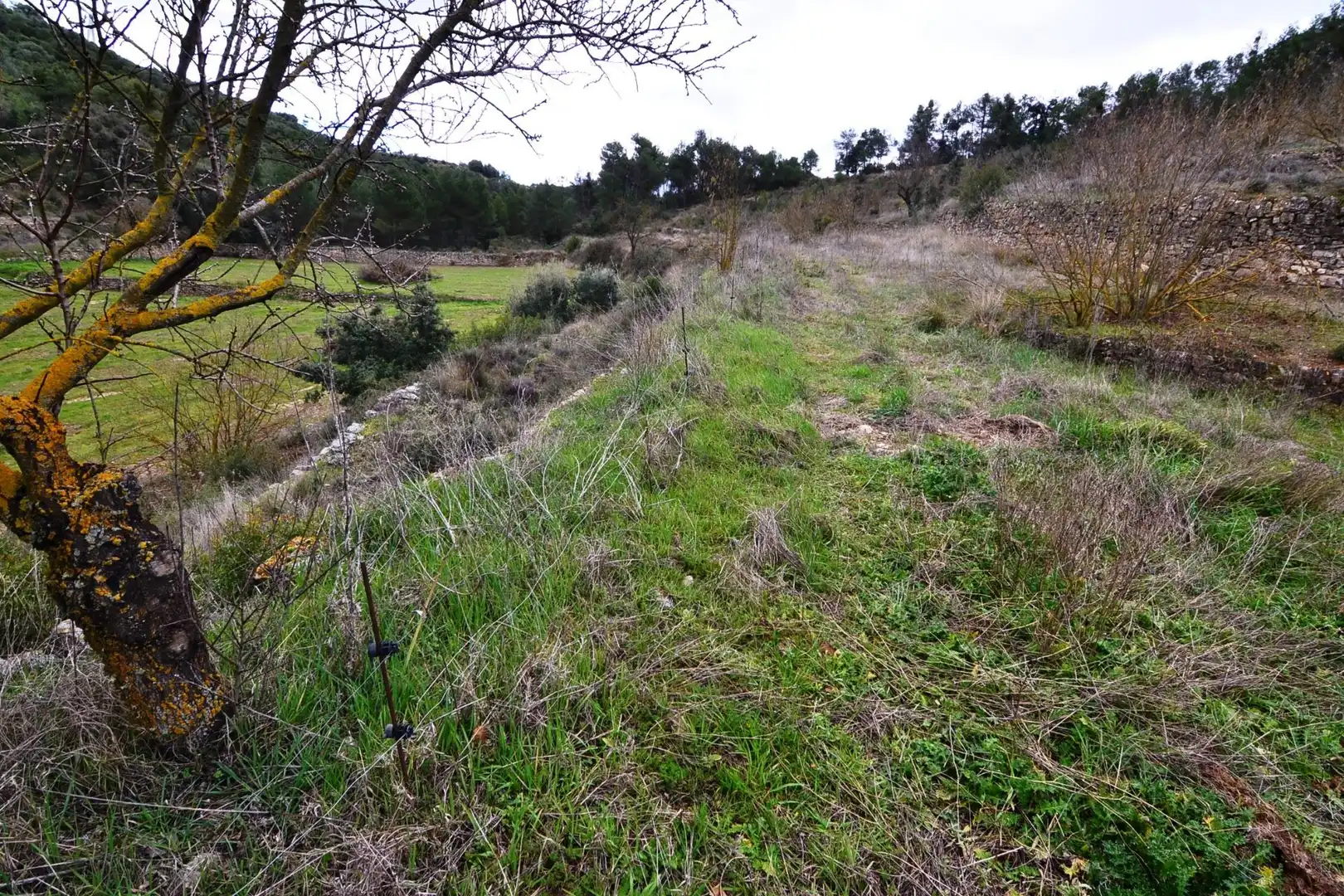 Terreno en venta en Vilalba dels Arcs