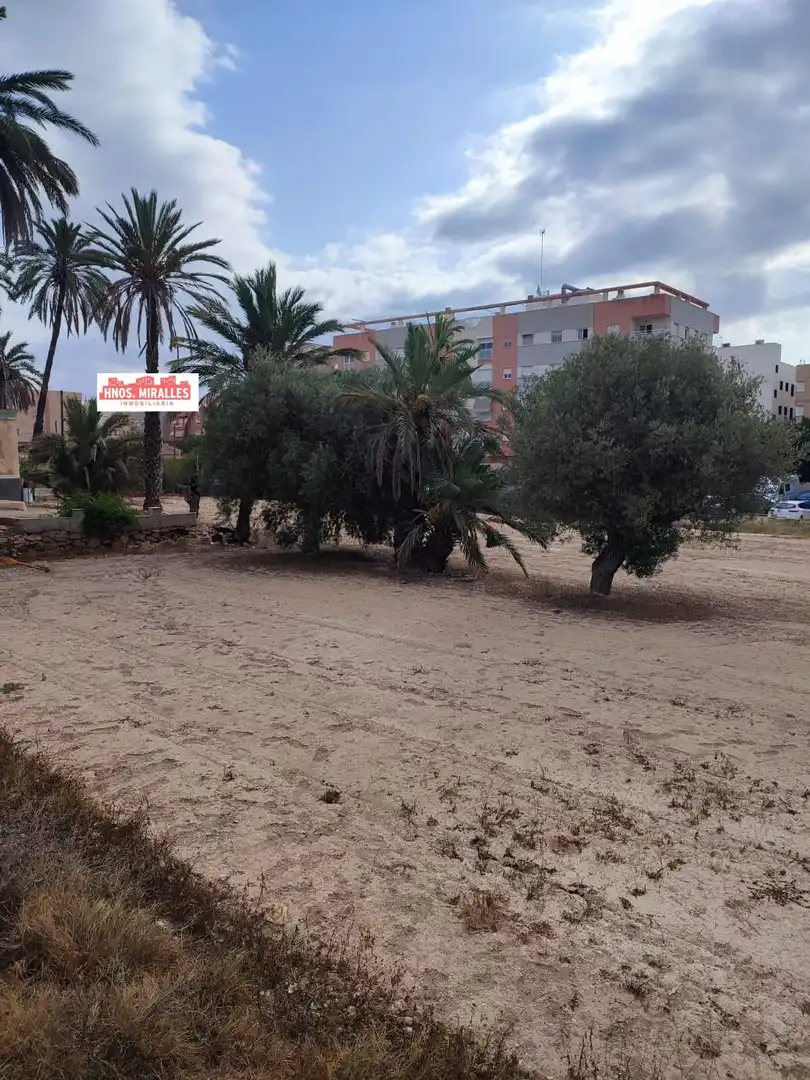 Country homes for sale in Elche / Elx