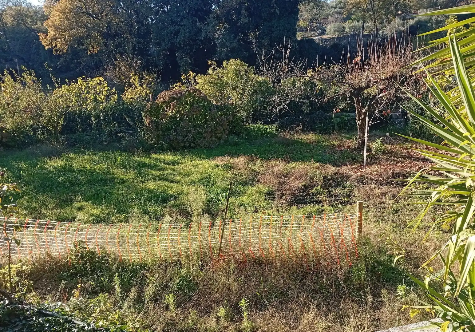 Terreni e lotti in vendita a Villanueva de la Vera, imagen 36