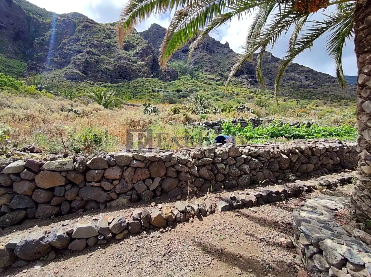 Country homes for sale in Buenavista del Norte