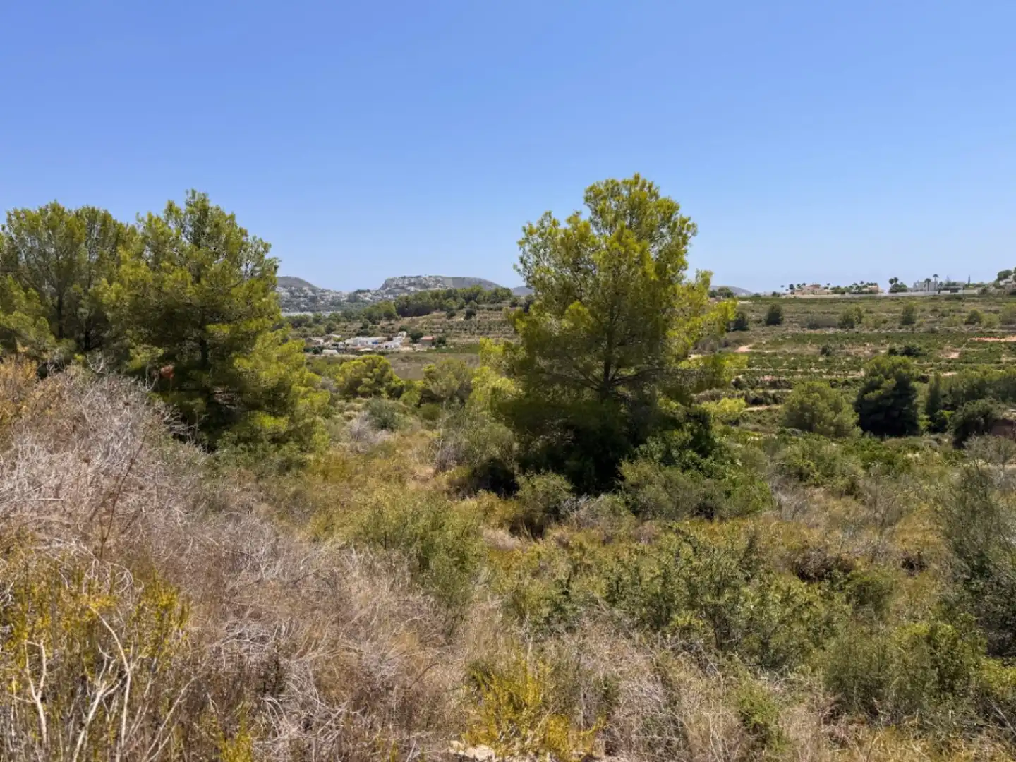 Terreny residencial en venda a Teulada, imagen 18