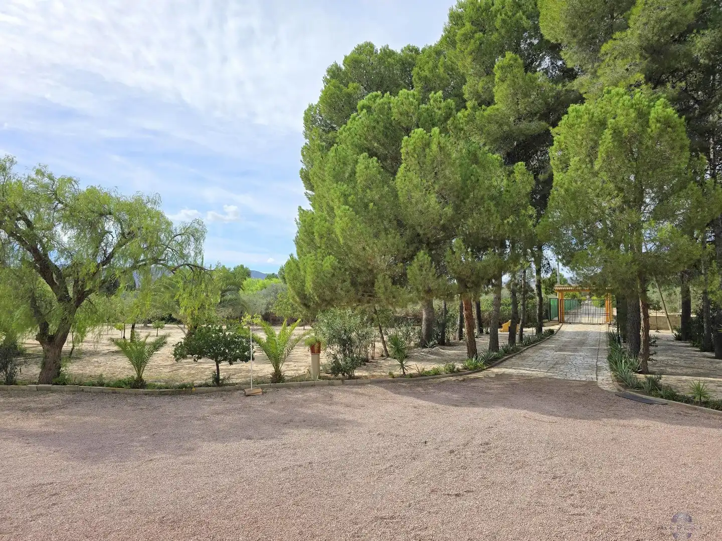 Villa in vendita a Campo Alto - Club de Campo, imagen 12
