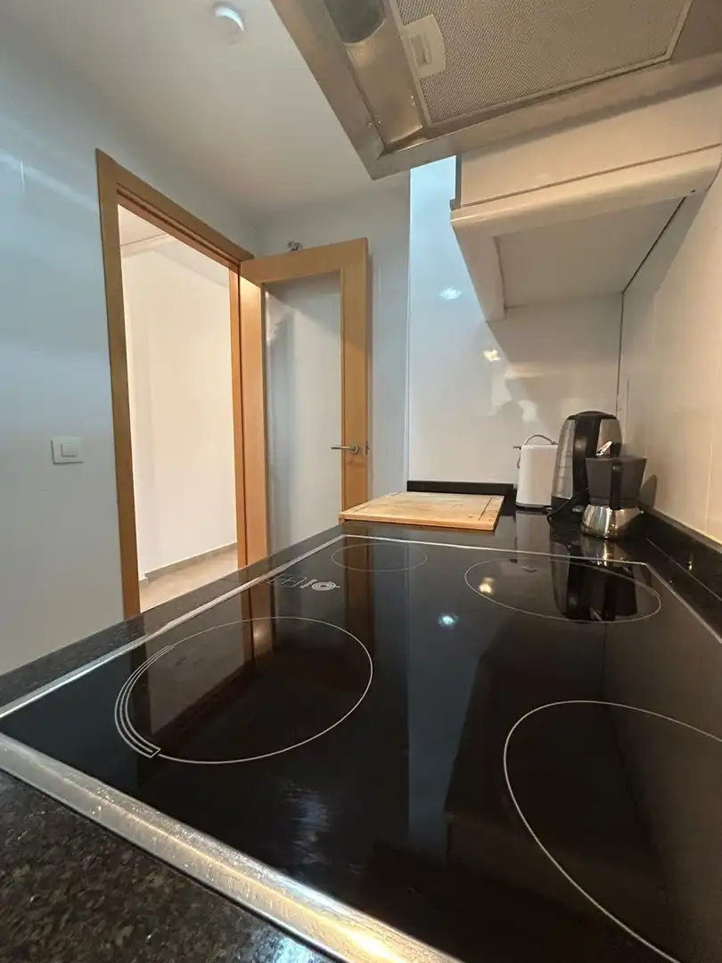 Kitchen of Apartments for sale in Las Marinas / Les Marines