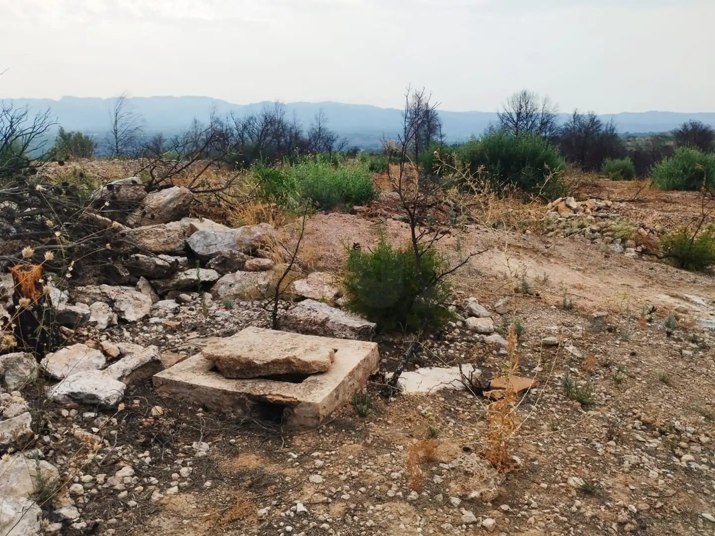 Terrain rustique à vendre à Xerta