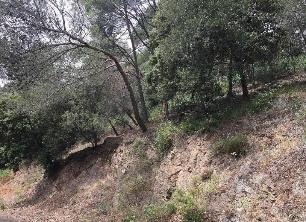 Terreny rústic en venda a LLICORELLA (DE LA), imagen 3