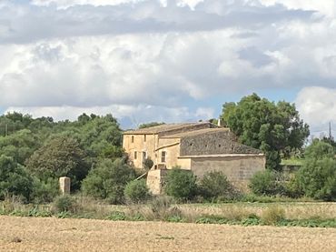 Rustikales Grundstück zum Verkauf in Manacor Centre