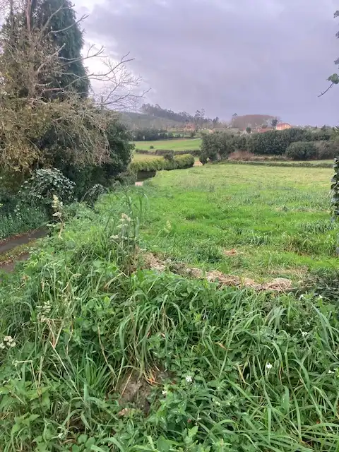 Residential land for sale in Campa San Roque 3, imagen 8
