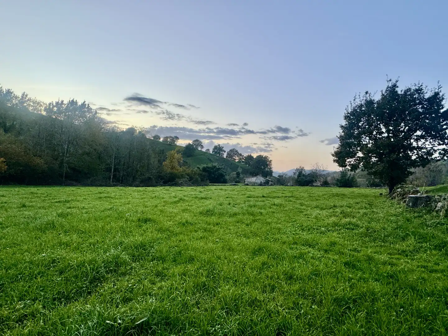 Rural land for sale in Villafufre - VILLAFUFRE, imagen 4