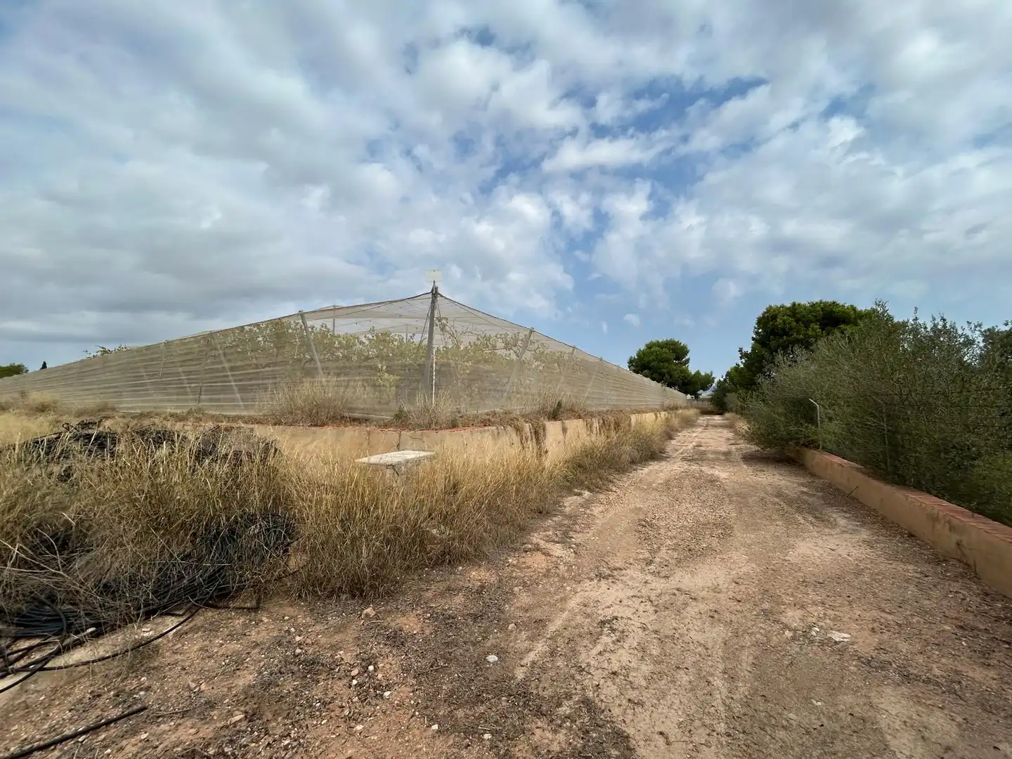 Terreno rustico in vendita a Carrer Lliria, imagen 3
