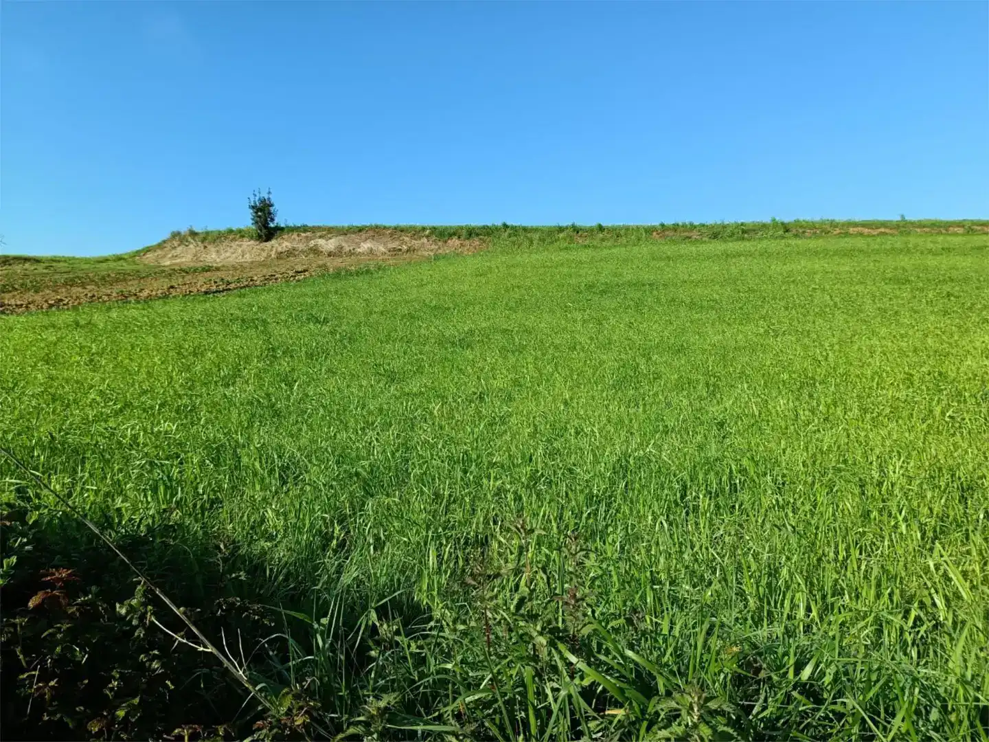 Residencial en venda en Comillas (Cantabria), Cantabria