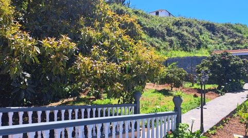 Foto 4 de Casa o chalet en venta en Los Silos, Santa Cruz de Tenerife