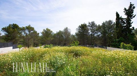 Foto 5 de Casa o chalet en venta en Sant Pere de Ribes - Carrer Carrer Dels Lledoners, Can Lloses - Can Marcer, Sant Pere de Ribes