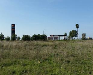 Industrial land for sale in Carmona