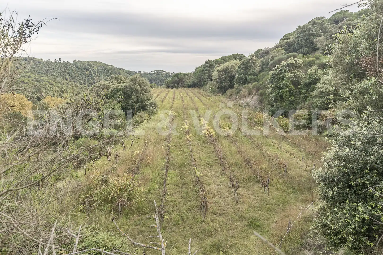 Finca rústica en venta en Sant Cebrià de Vallalta con Calefacción, Jardín privado y Terraza