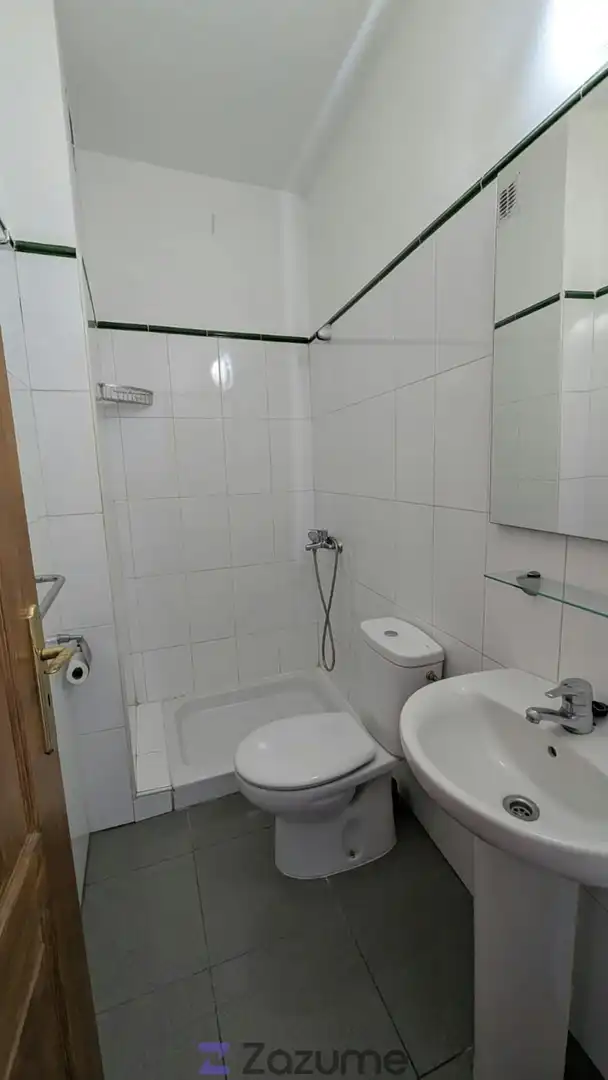 Bathroom of Flat for rent in Las Palmas de Gran Canaria  with Oven, Washing machine and Balcony