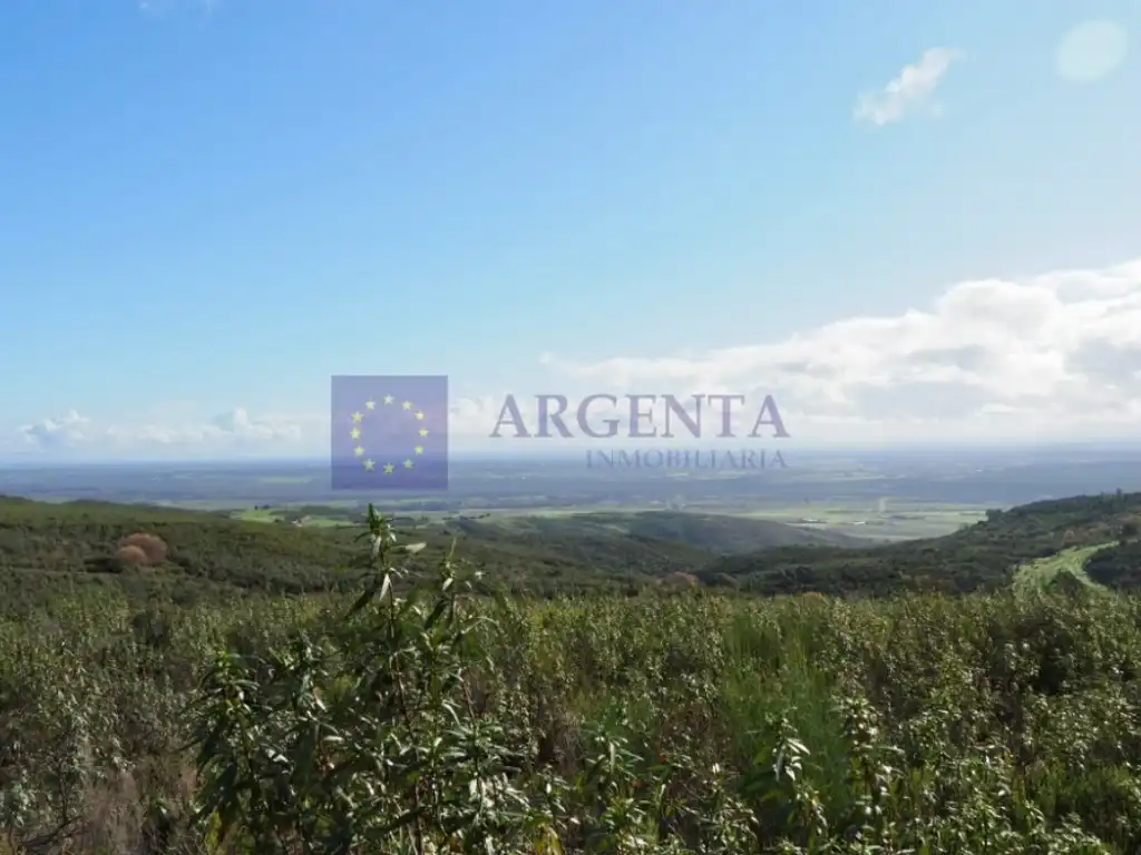 Casa o xalet en venda a Casatejada