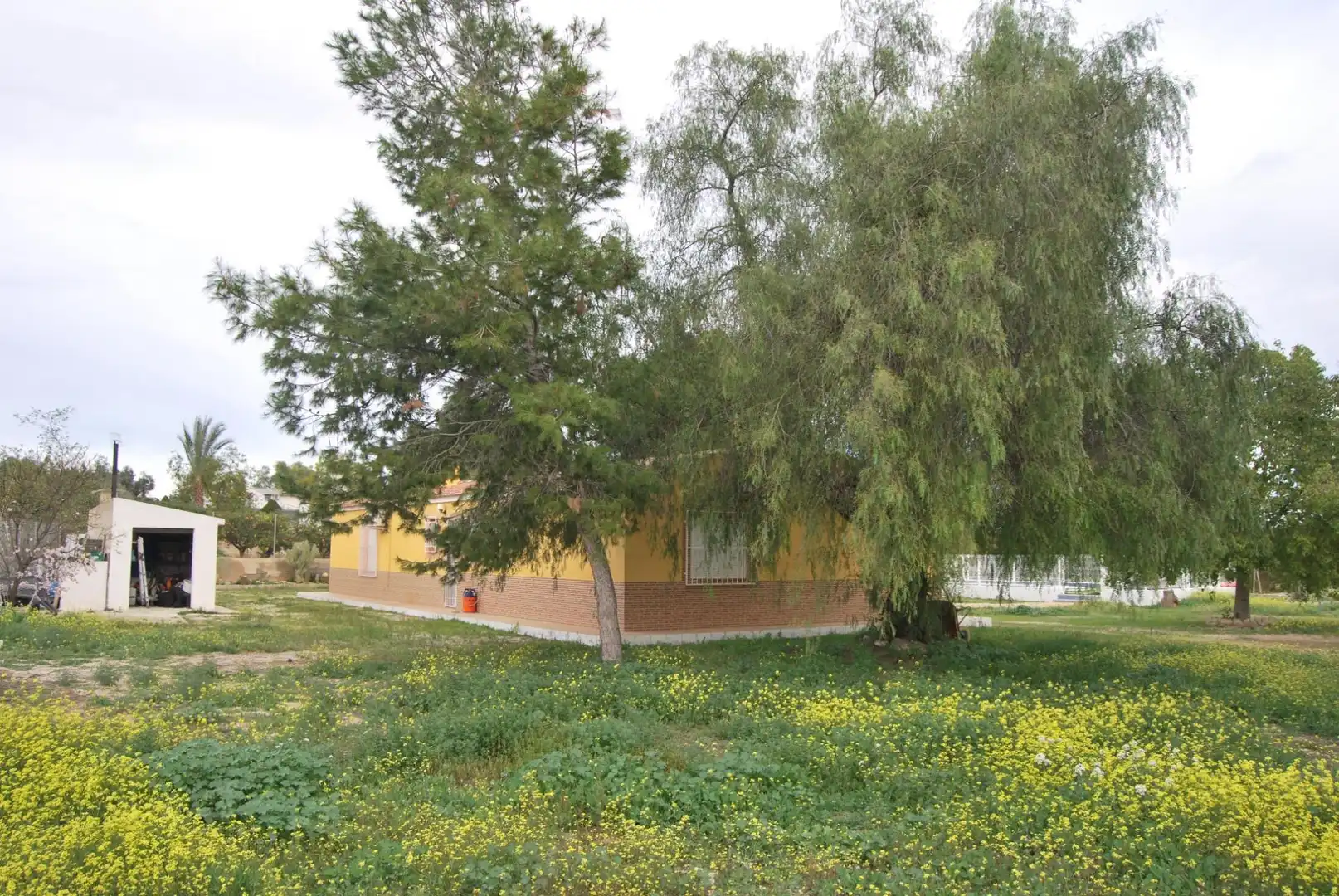 Vista exterior de Finca rústica en venta en Murcia con Aire acondicionado, Jardín privado y Terraza