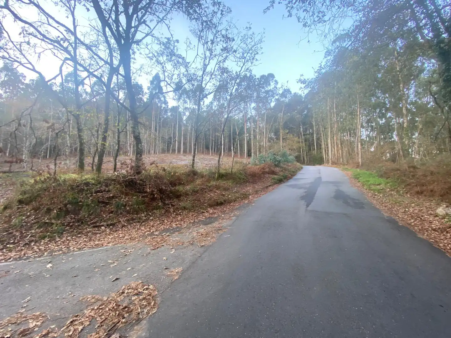 Residential land for sale in Lugar Igrexa-Pontellas, imagen 11