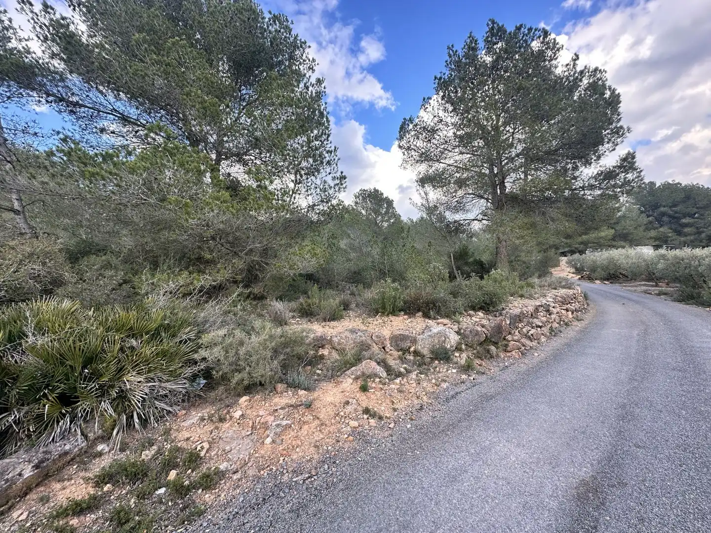Terrenos y solares en venta en Alfara de la Baronia, imagen 7