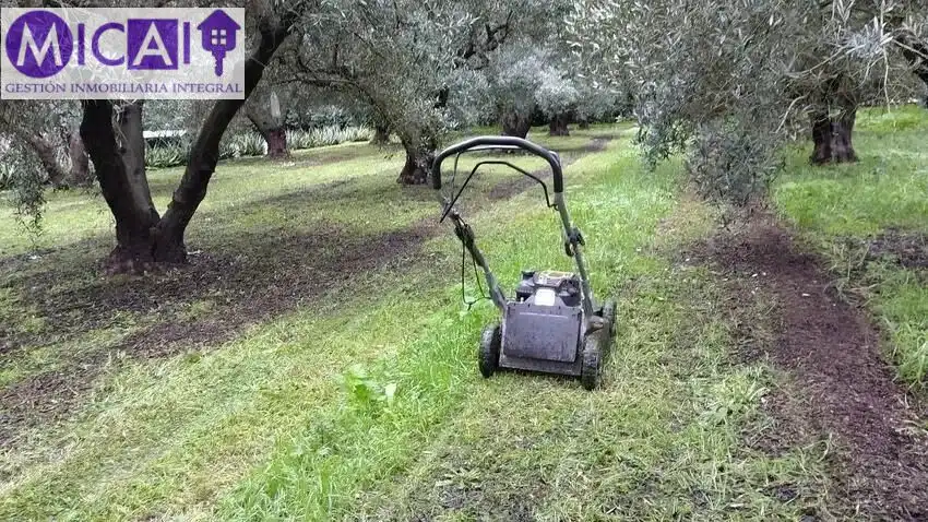 Jardí de Casa o xalet en venda en Puerto Real amb Aire condicionat, Jardí privat i Terrassa