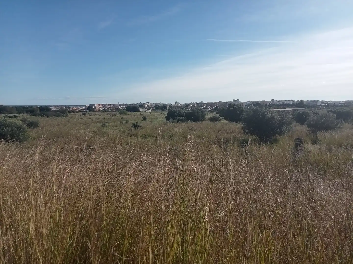 Terreno rustico in vendita a El Grao