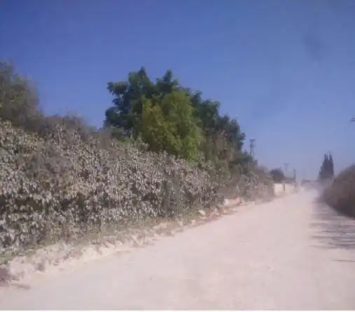 Rural land for sale in Urbanizacion Privada Matachica 24B, imagen 4