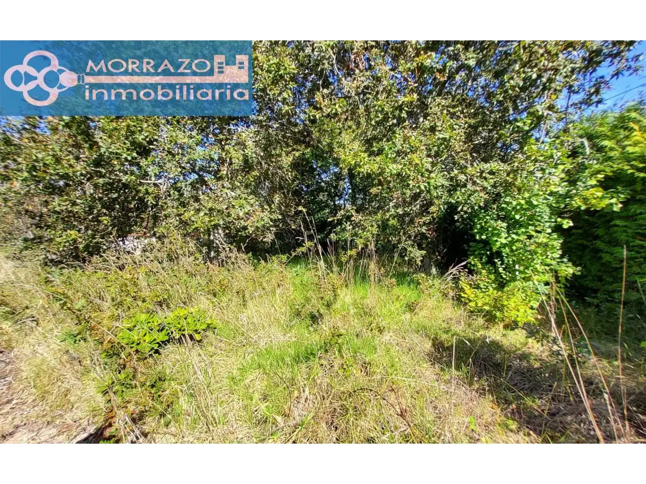 Terreno rustico in vendita a Calle Lg. Bon de Abaixo, imagen 5