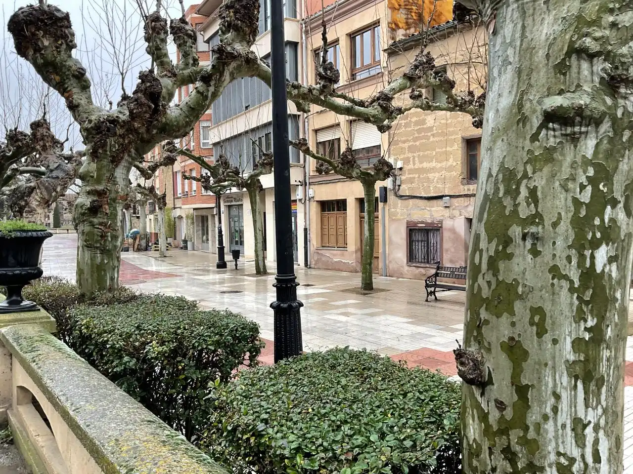 Casa en venta en Avenida Juan Carlos I, imagen 23