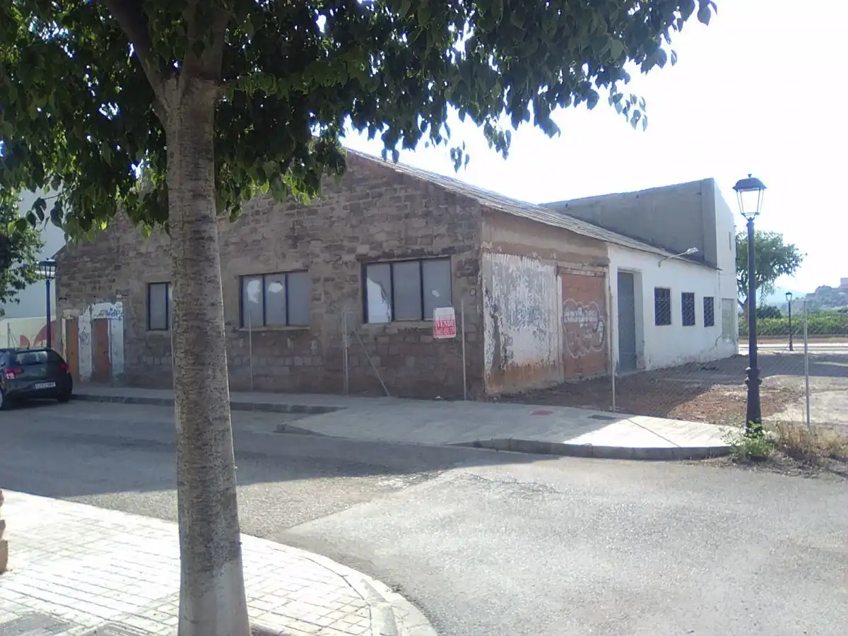 Exterior view of Industrial buildings for sale in Algímia de Alfara