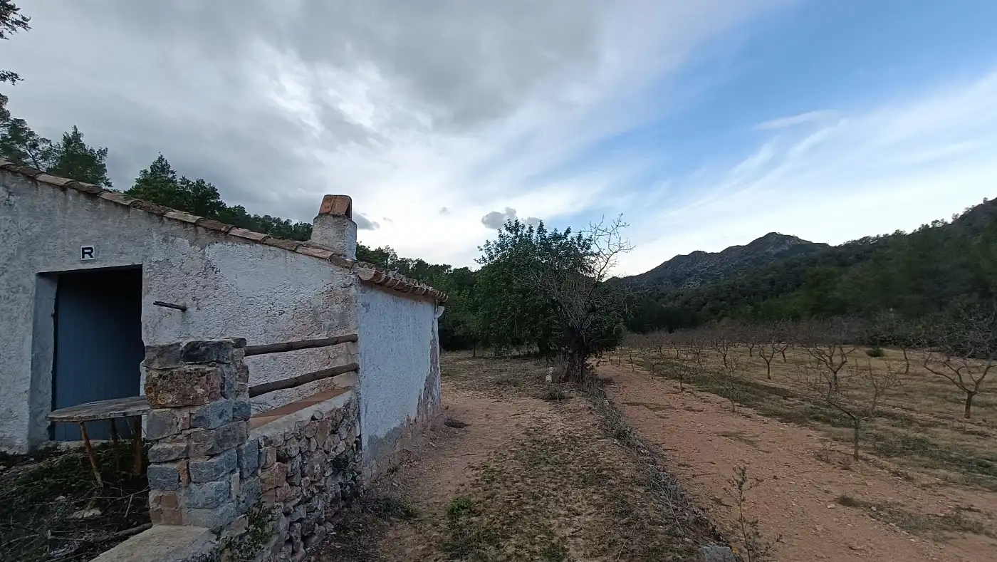 Terreny rústic en venda a Miravet, imagen 14