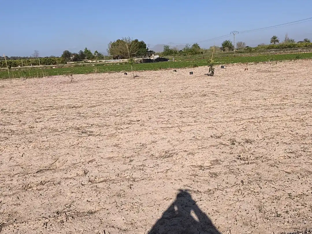 Terreno en venta en Benijófar