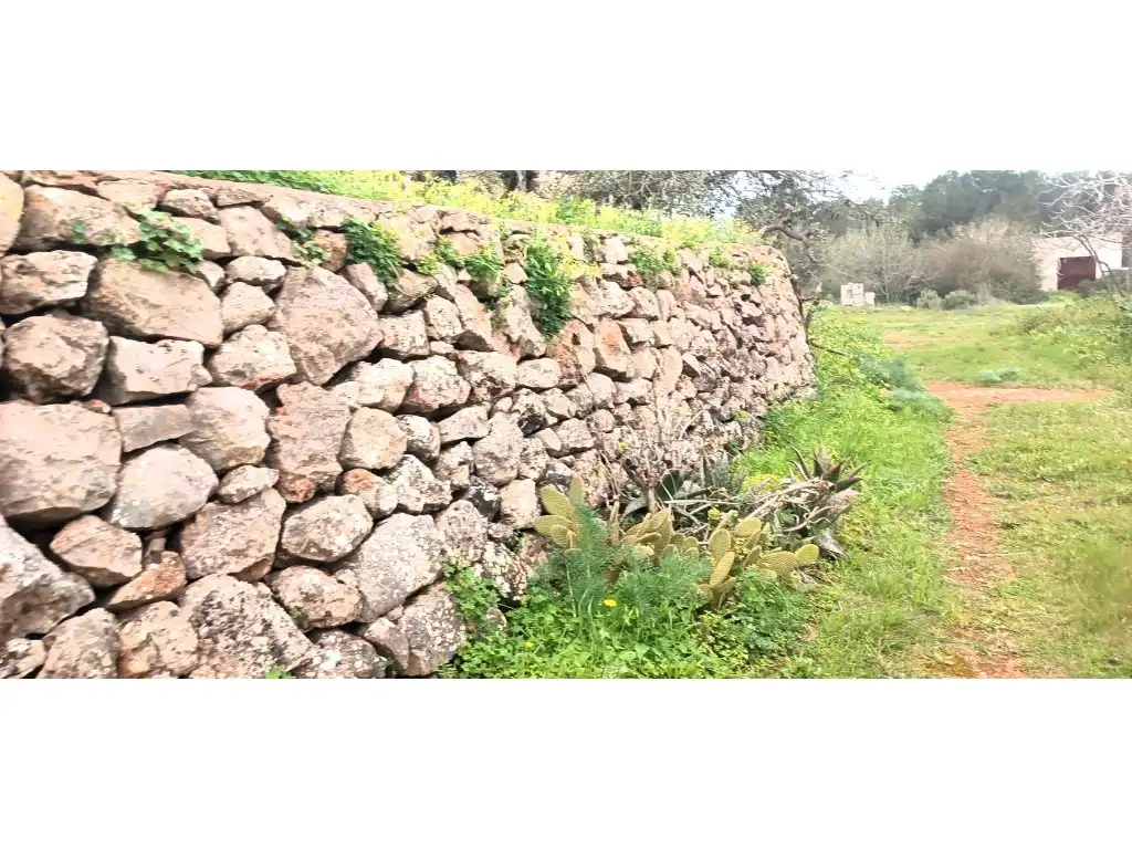Casa rústica en venda a Carretera Sant Mateu-Sant Miquel, imagen 6