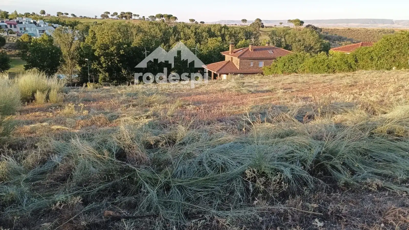 Rural land for sale in Cabanillas del Campo
