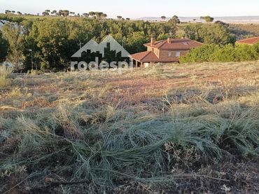 Terreny rústic en venda a Cabanillas del Campo